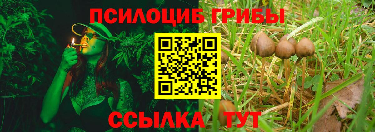 Галлюциногенные грибы прущие грибы  Вход с VPN  Артёмовский 