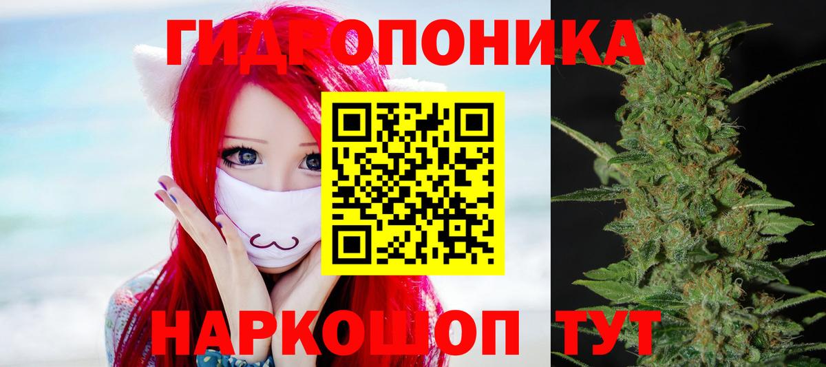 Марихуана White Widow  Вход с VPN  Артёмовский  Бошки Шишки VHQ  Бошки марихуана планчик 